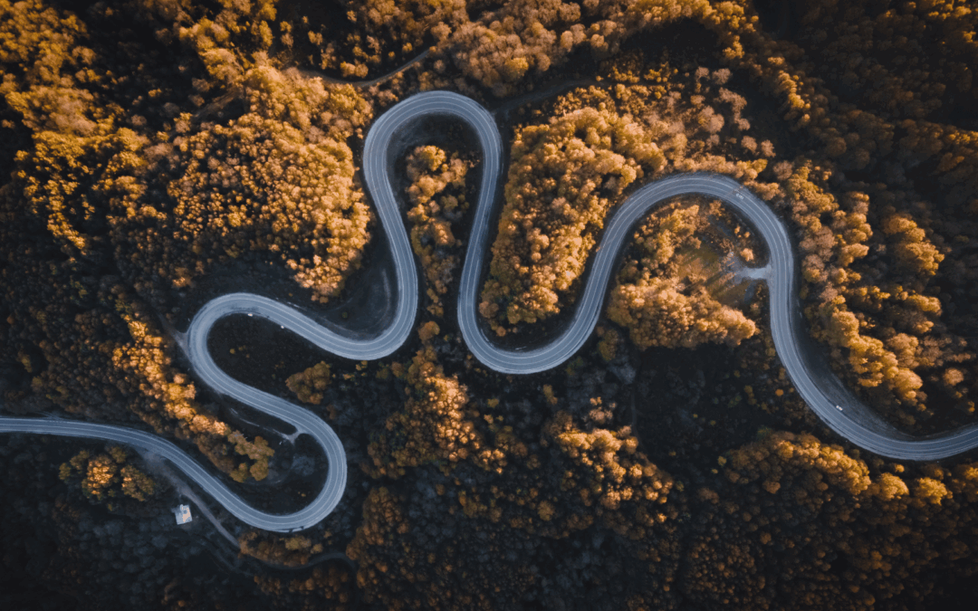 A Succession Planning Roadmap for Healthcare Facility Leaders